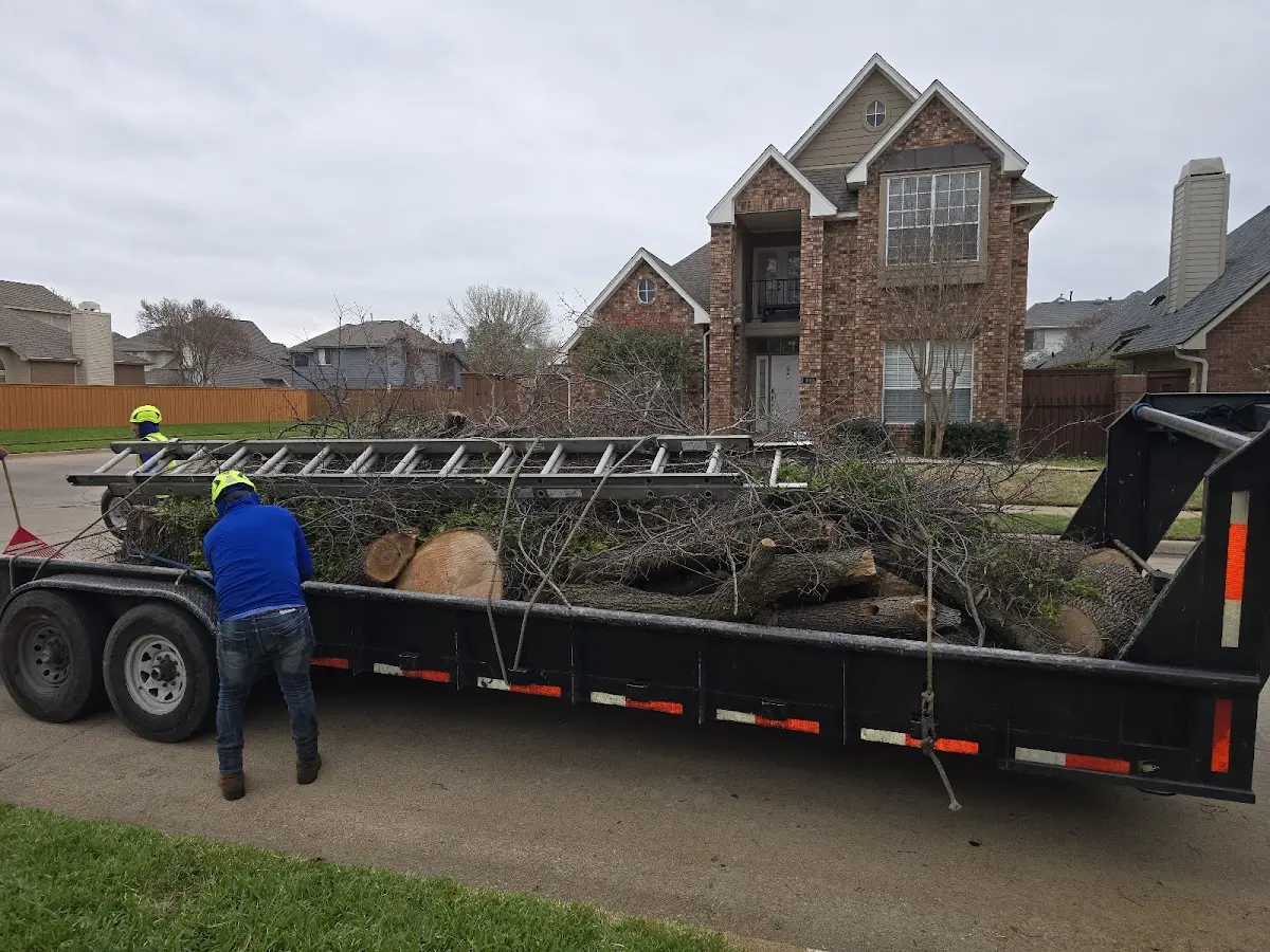 Expert Tree Pest Control with proper safety equipment in Fort Knox